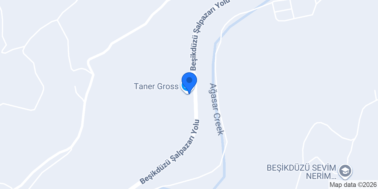 Taner Gross konumu