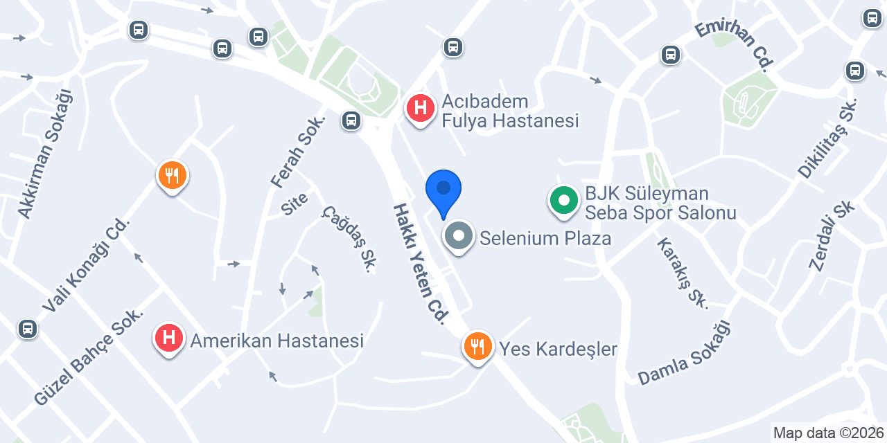 Altınel Kayropraktik konumu
