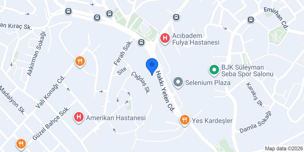 Prof. Dr. Özkan Özdamar konumu