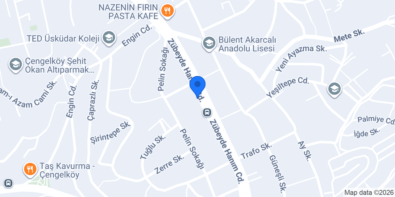 Dr. Saffet Dursun konumu