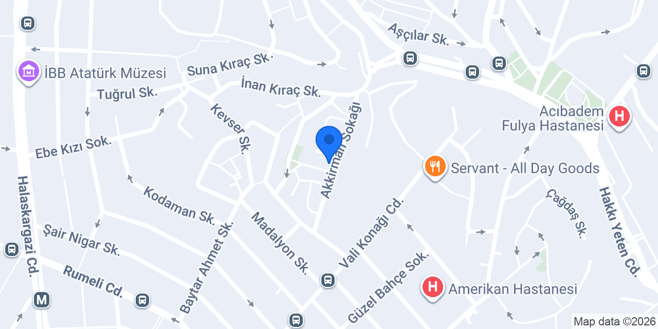 AltınTaksi konumu