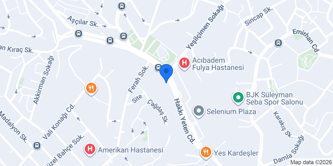 Prof. Dr. Seyit Ali Gümüştaş konumu