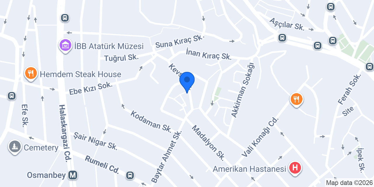 ŞİŞLİ ALTINDAŞOĞLU SIHHİ TESİSAT konumu