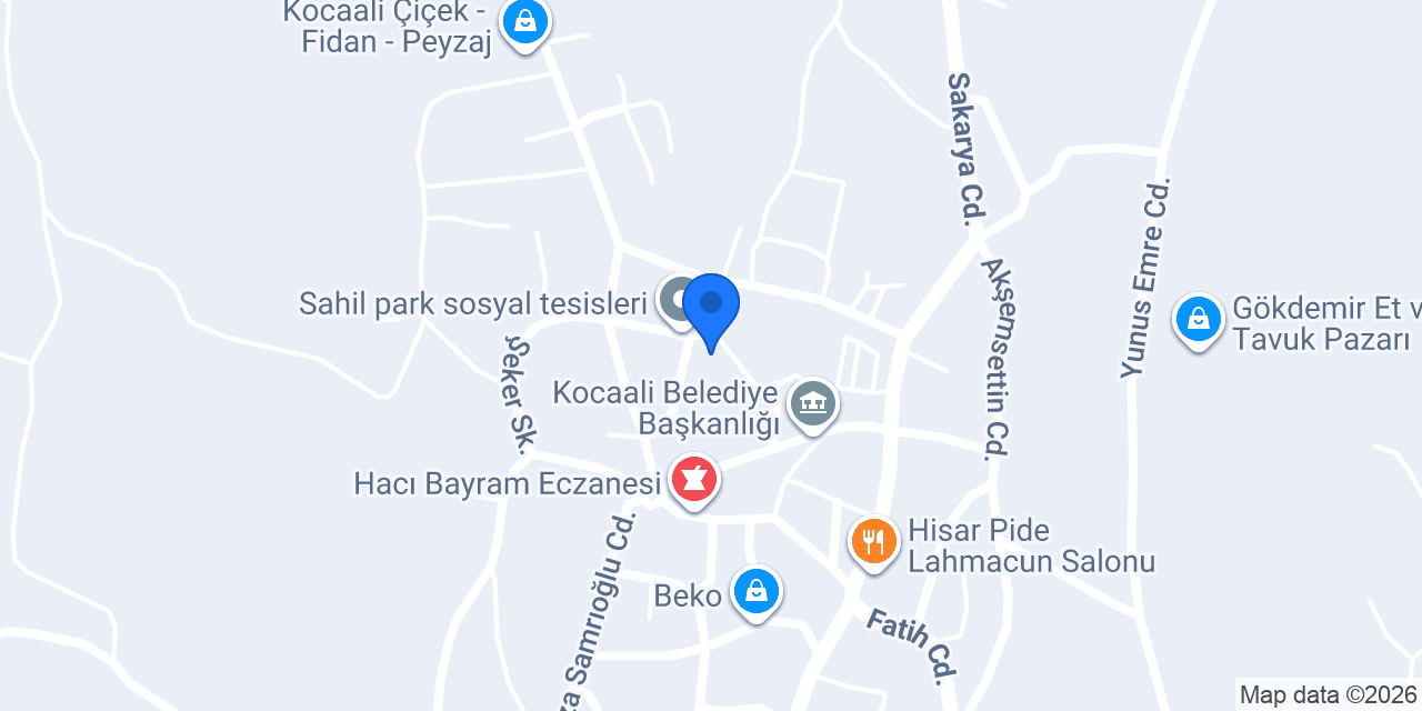 KOCAALİ TEKNİK SERVİS konumu