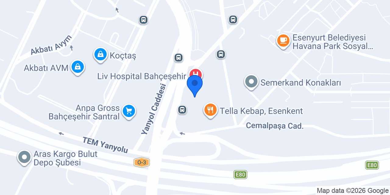 Vera İstanbul Otomotiv konumu
