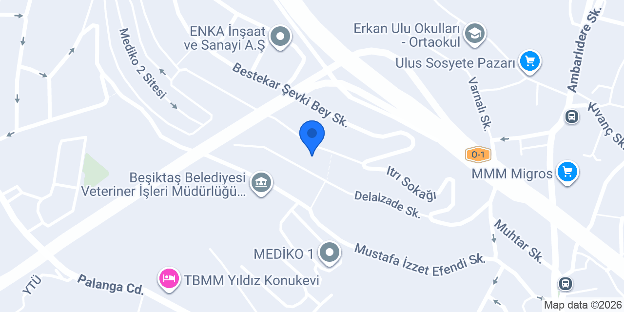 Phd Institute konumu