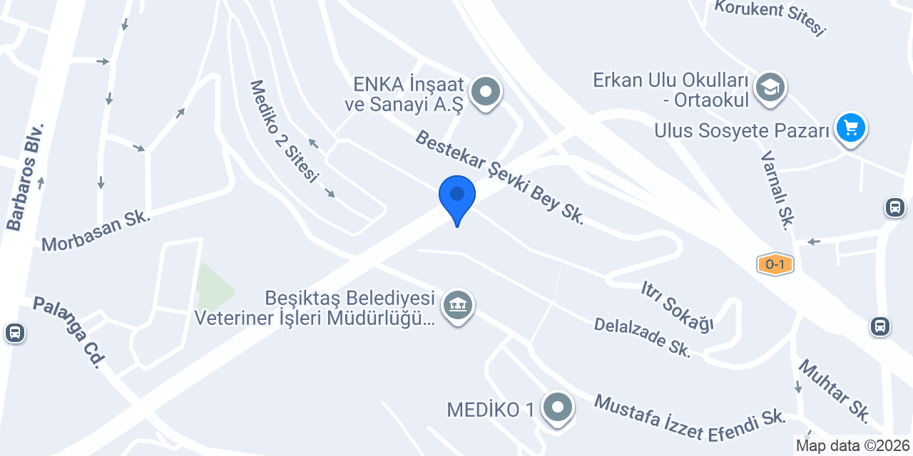 Partogen İlaç konumu