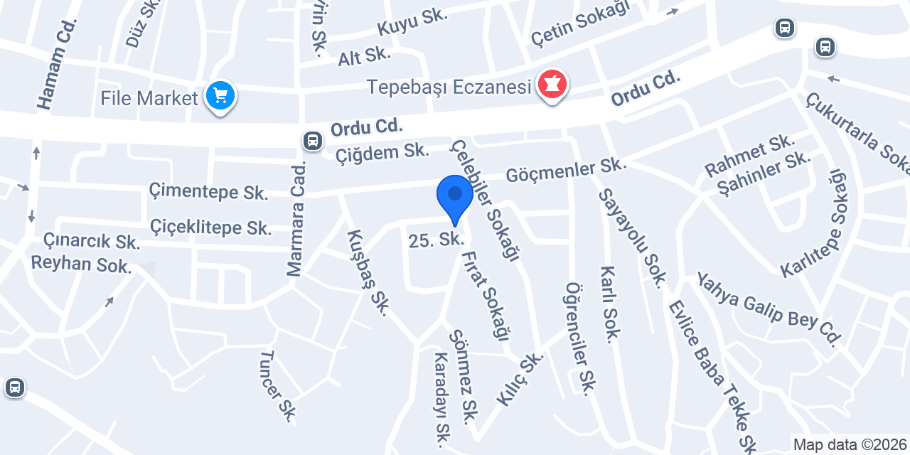 Lgs Eğitim koçu konumu