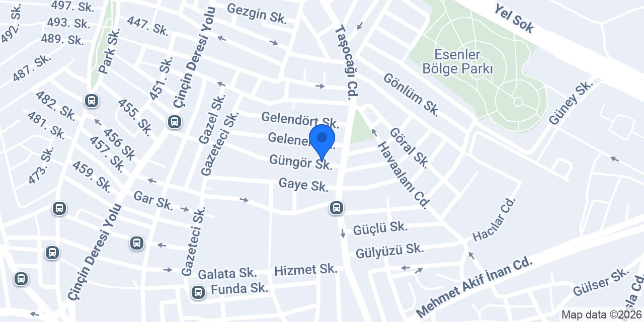 Baş organizasyon konumu