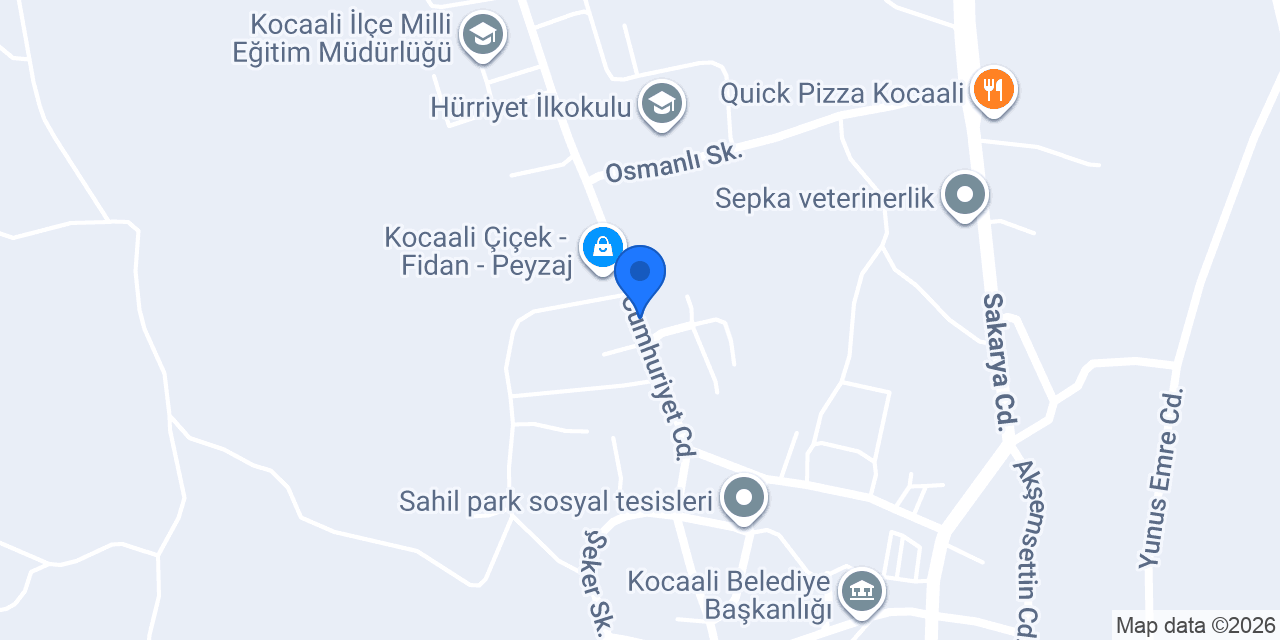 Kocaali spot konumu