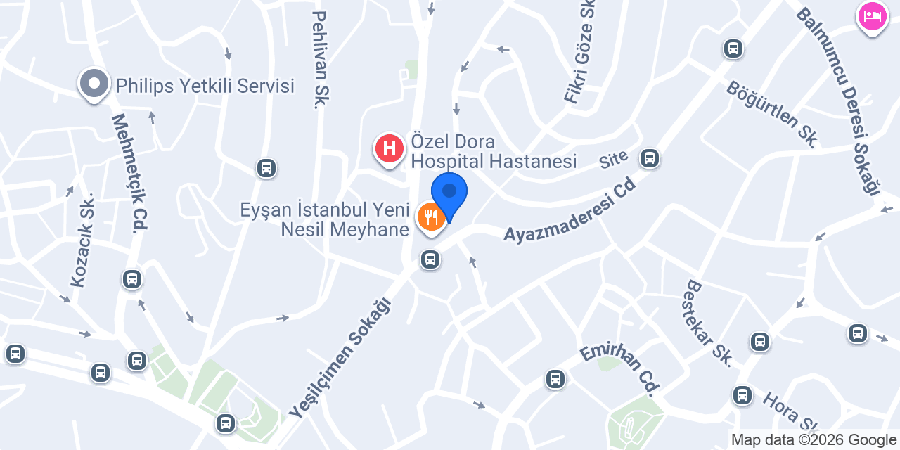 Prof. Dr. Merter Yalçınkaya konumu