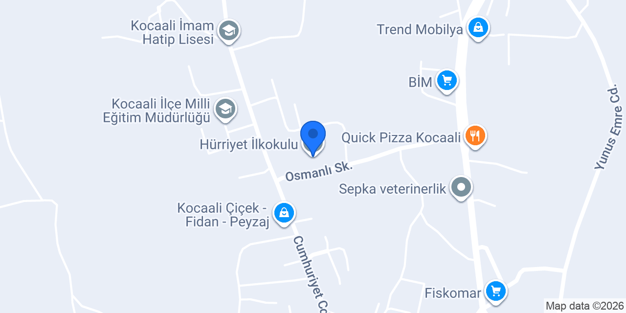 Hürriyet İlkokulu konumu