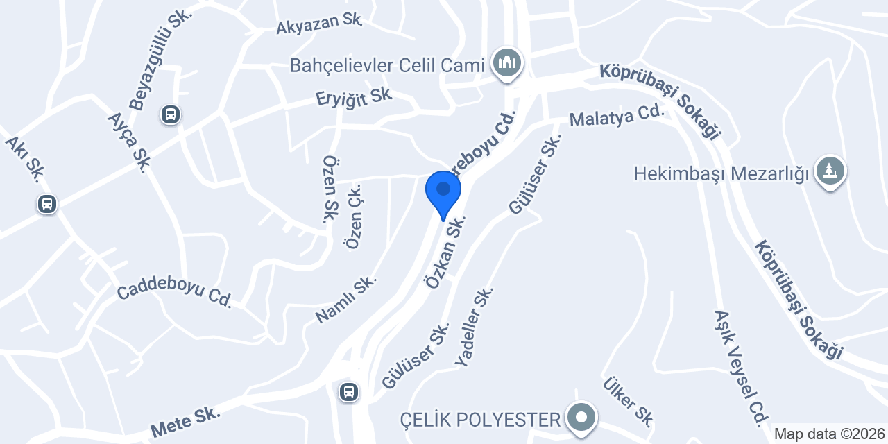 Direksiyon Eğitimleri konumu