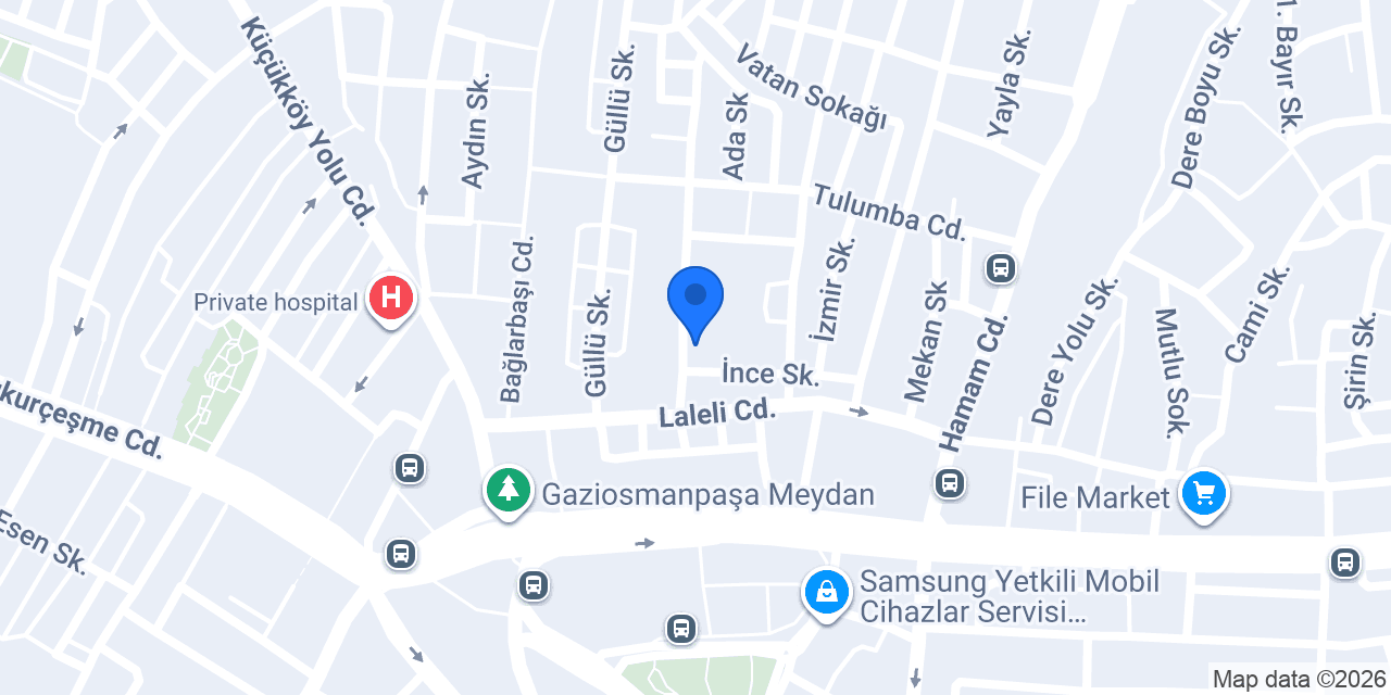 Anı Elektrik konumu