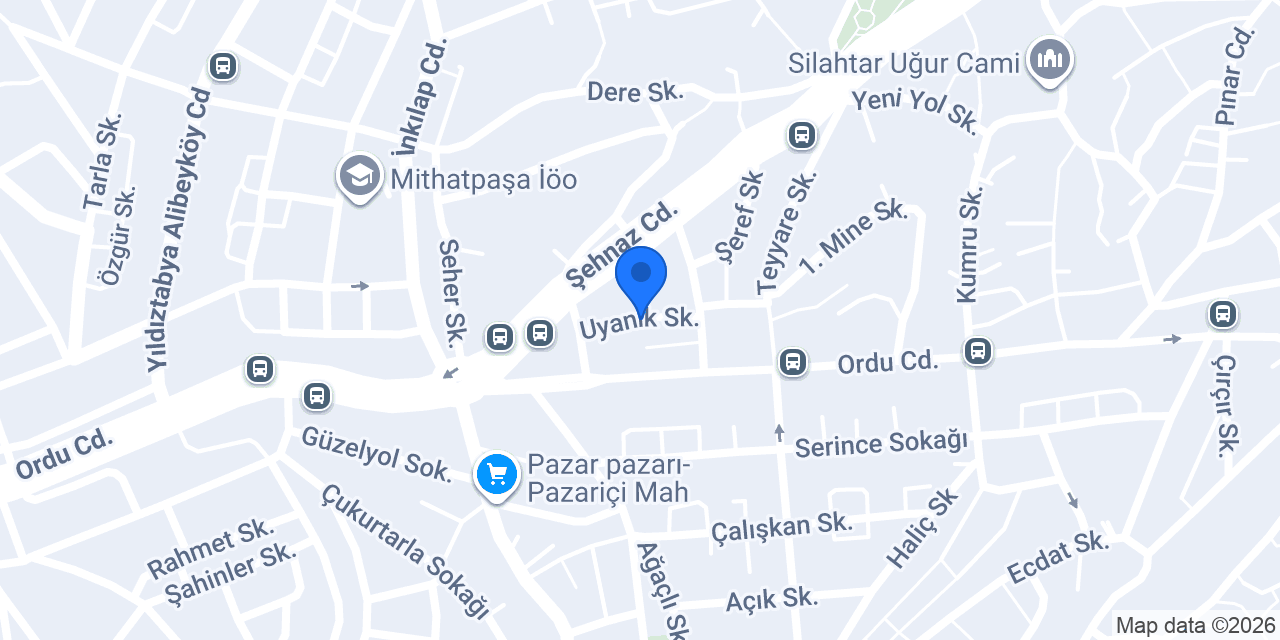 Gezen elektrik konumu