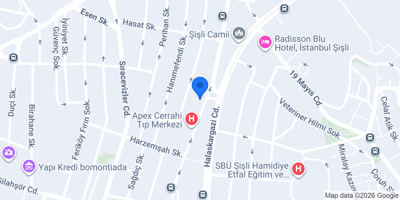 Şişli Bakara Çiçek konumu
