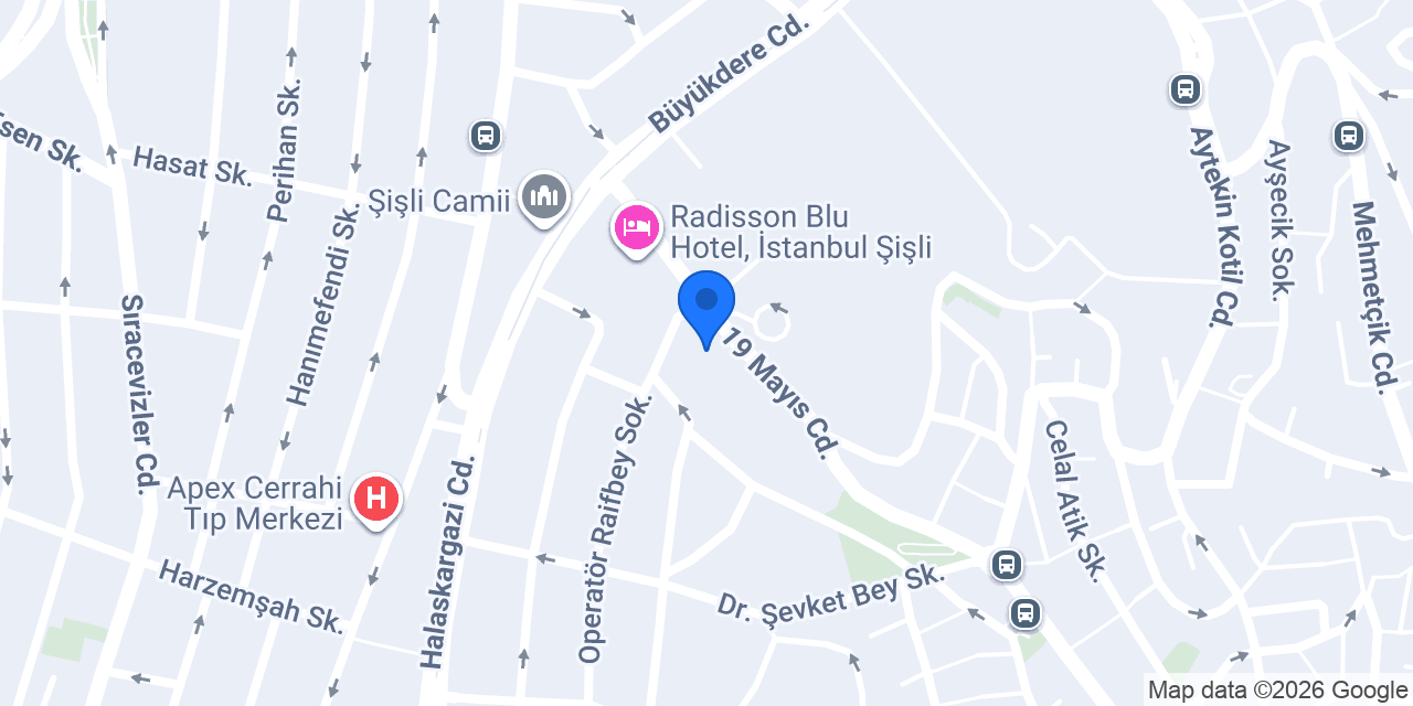 Ata Uluslararası Denetim konumu