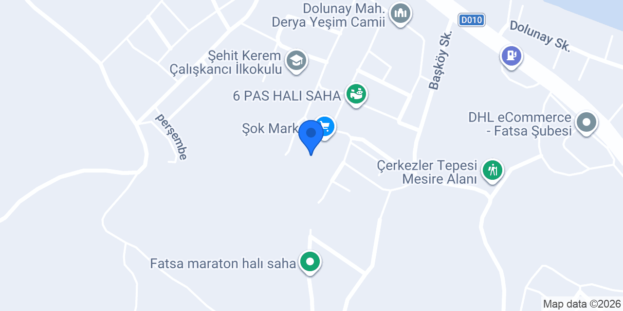 Fatsa Öz Uzman Şap konumu
