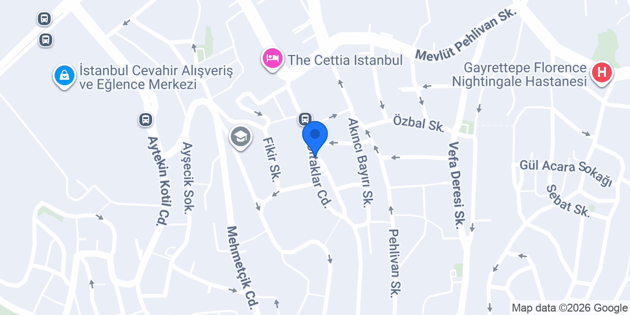 Demirtas Kaucuk konumu
