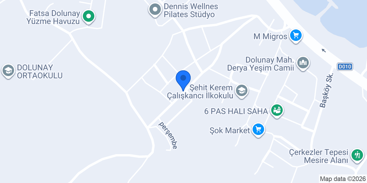 Fatsa Pozitif Elektrik konumu