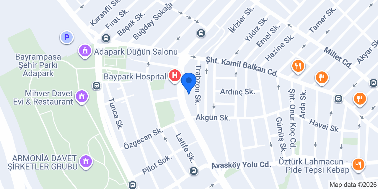Damla Arı konumu