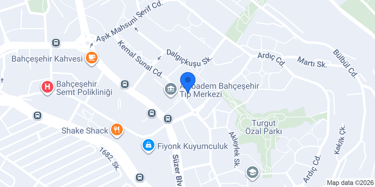 Salon Gökhan konumu