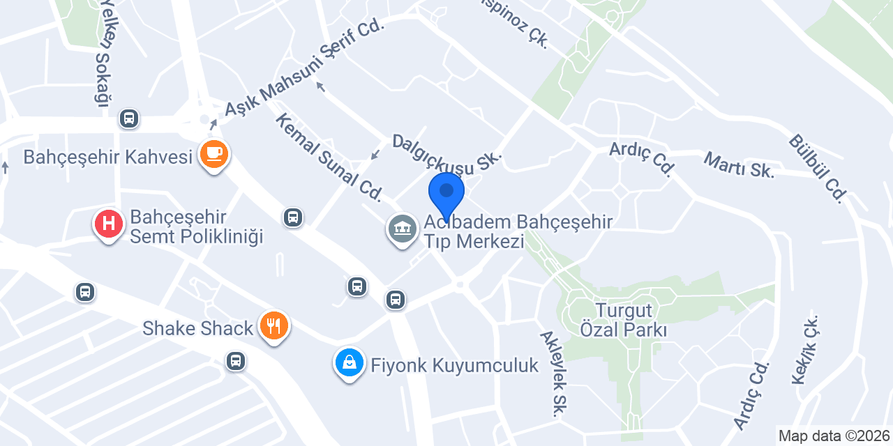 Berberim konumu