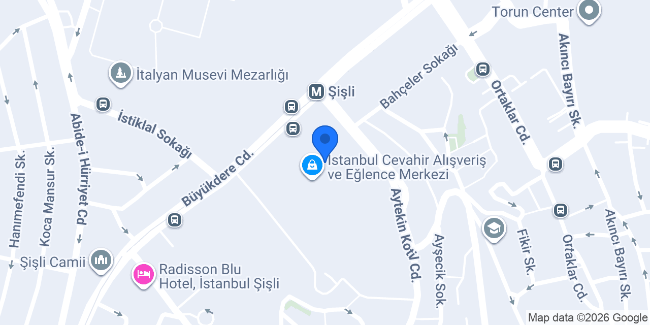 Toyzon Sisli Drone konumu