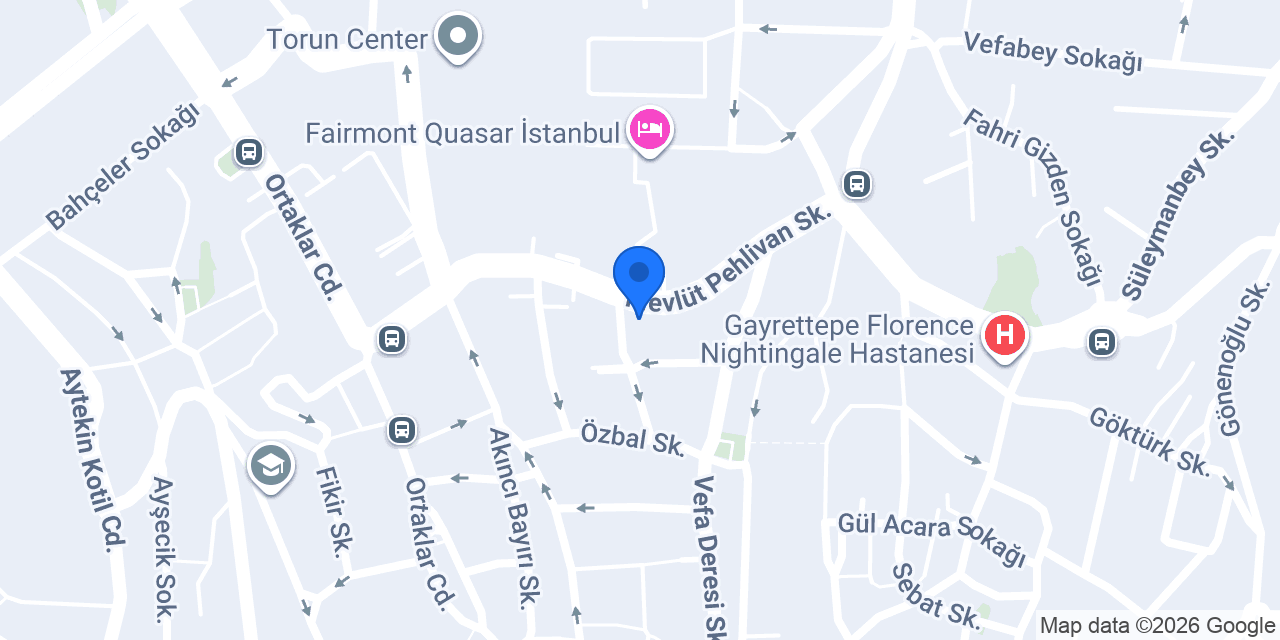 Aras Kargo Gayrettepe Şubesi konumu