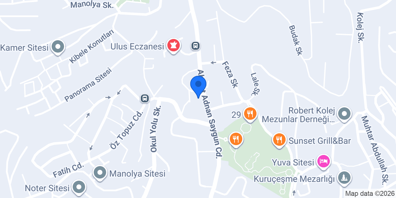 Çiçek Vize konumu