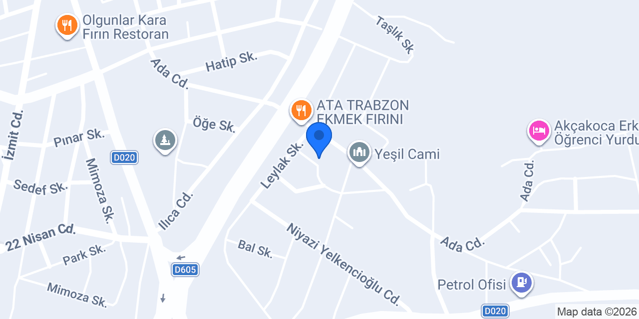 Kocaeli3D konumu