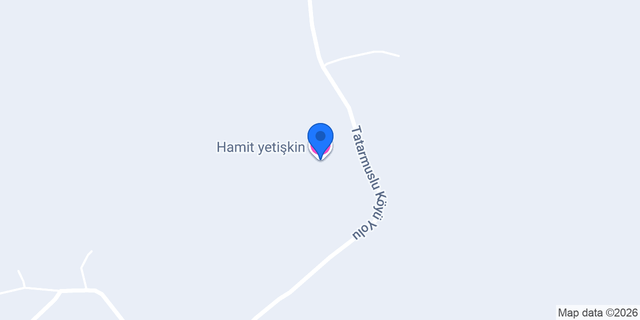 Hamit yetişkin konumu