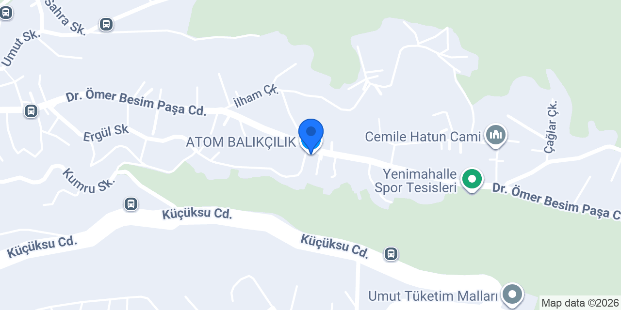 ATOM BALIKÇILIK konumu