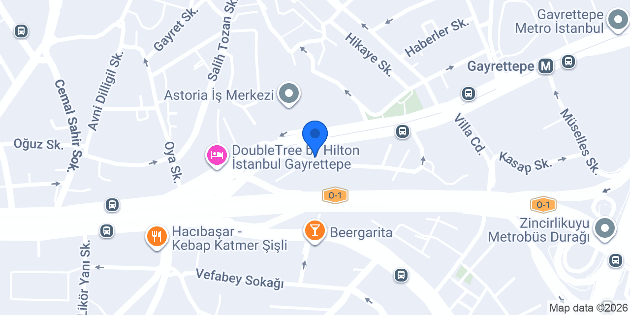 Vize Keyfi konumu