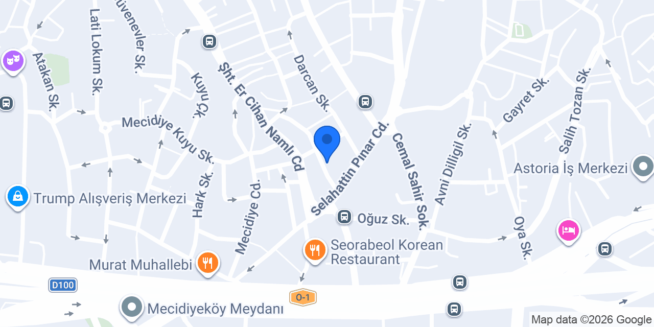 Şişli Petshine Veteriner konumu