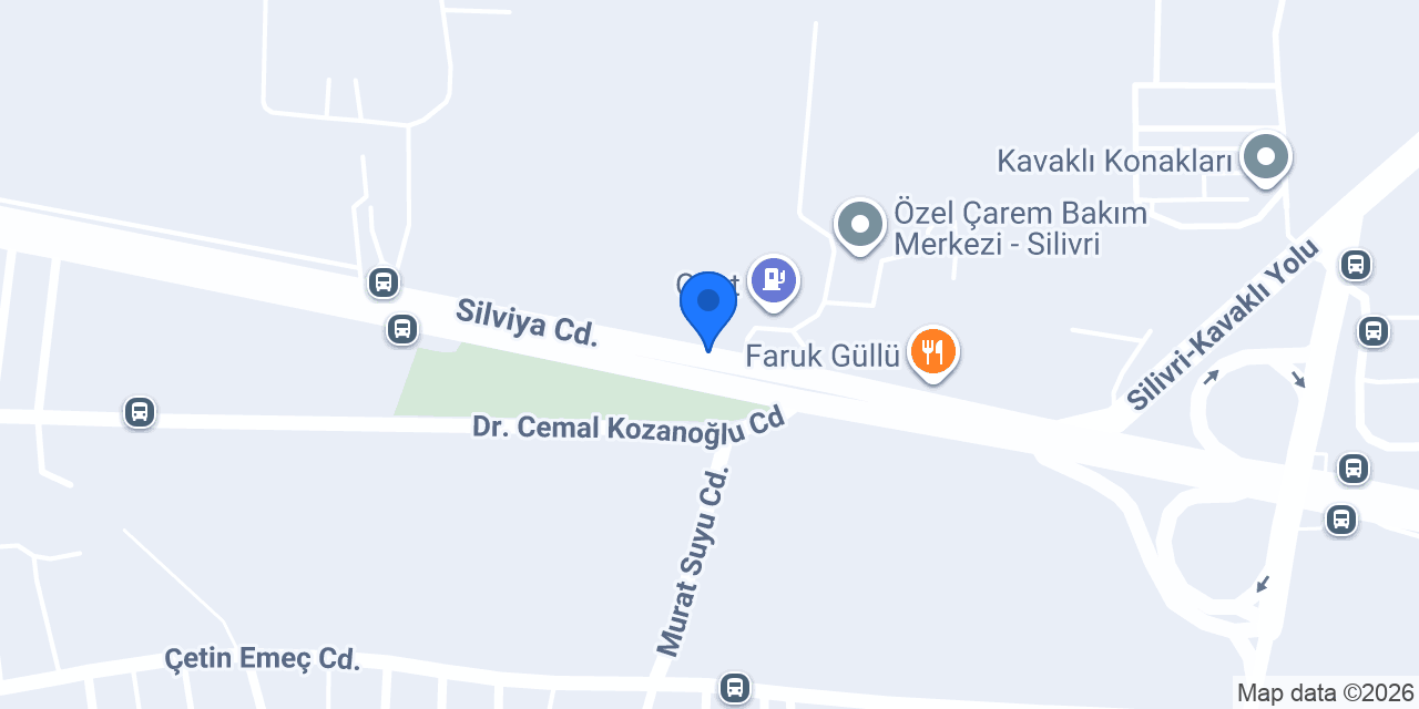 Royel Çelik Kapı / Villa Kapıları / Pivot Kapı konumu