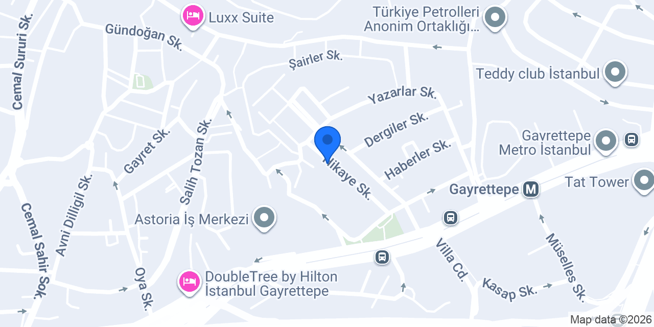 Güzel Sanatlar konumu