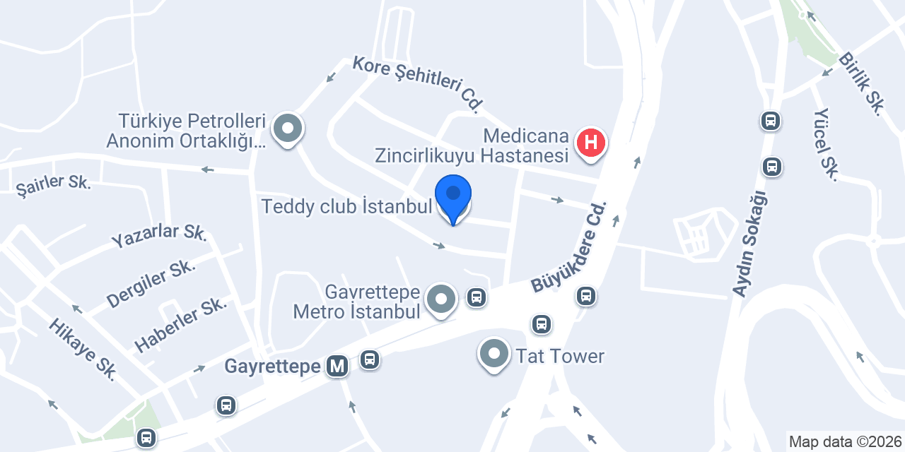 SAVA GROUP ISTANBUL konumu