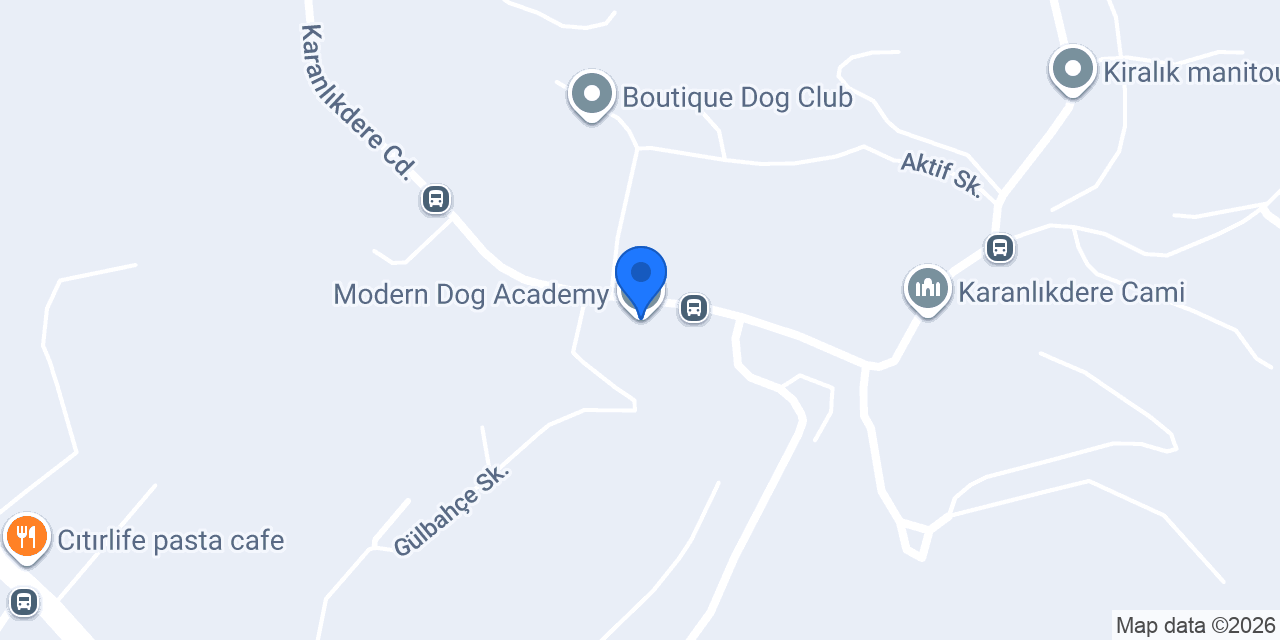 Modern Dog Academy konumu