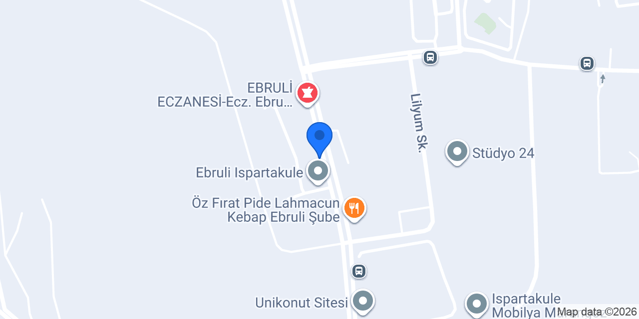 LDS DANIŞMANLIK konumu