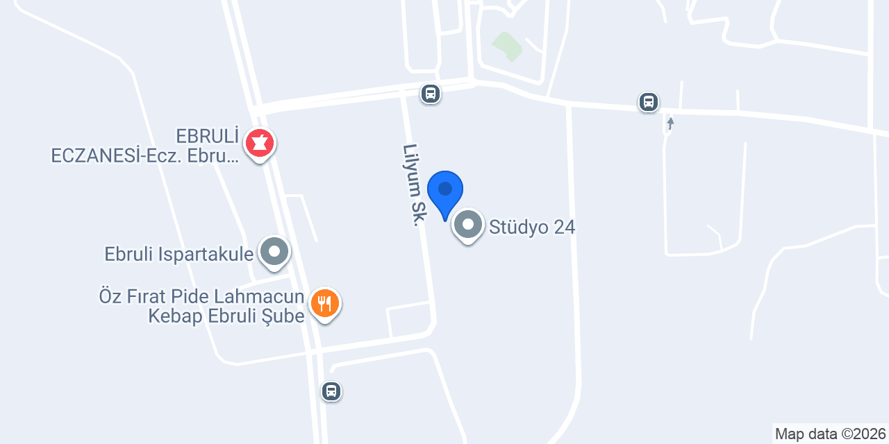 PLENT YOL YAPI İNŞAAT TAAH. SAN. VE TİC.LTD. ŞTİ. konumu