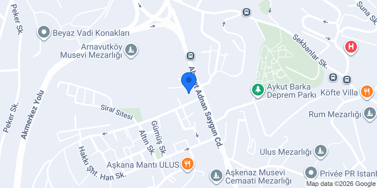 Domino's Pizza Ulus konumu