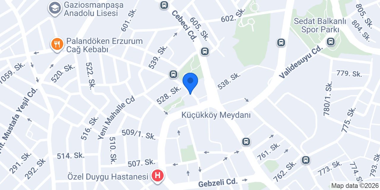 Gezi aracı konumu