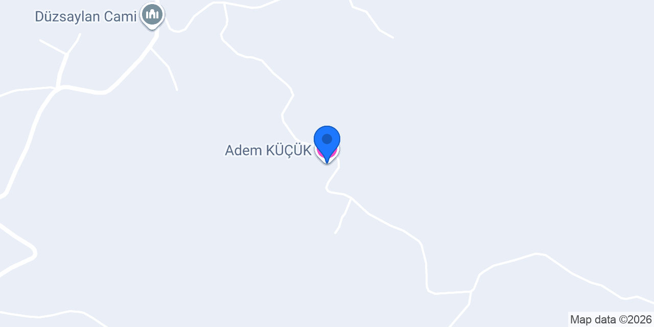 Adem KÜÇÜK konumu