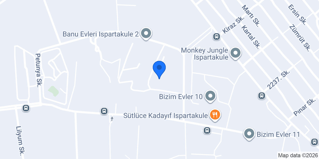 Devin Grup İnşaat konumu