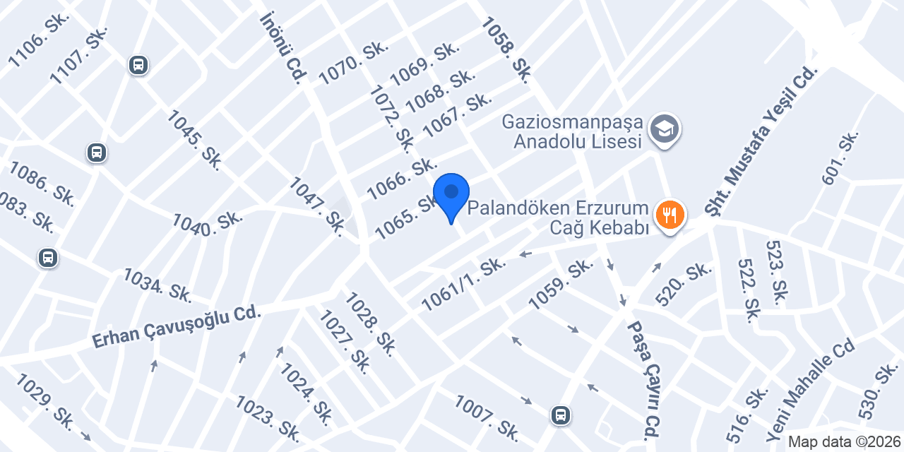 Aslan ticaret konumu
