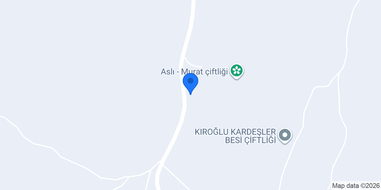 Tim-Cadde Ustu konumu