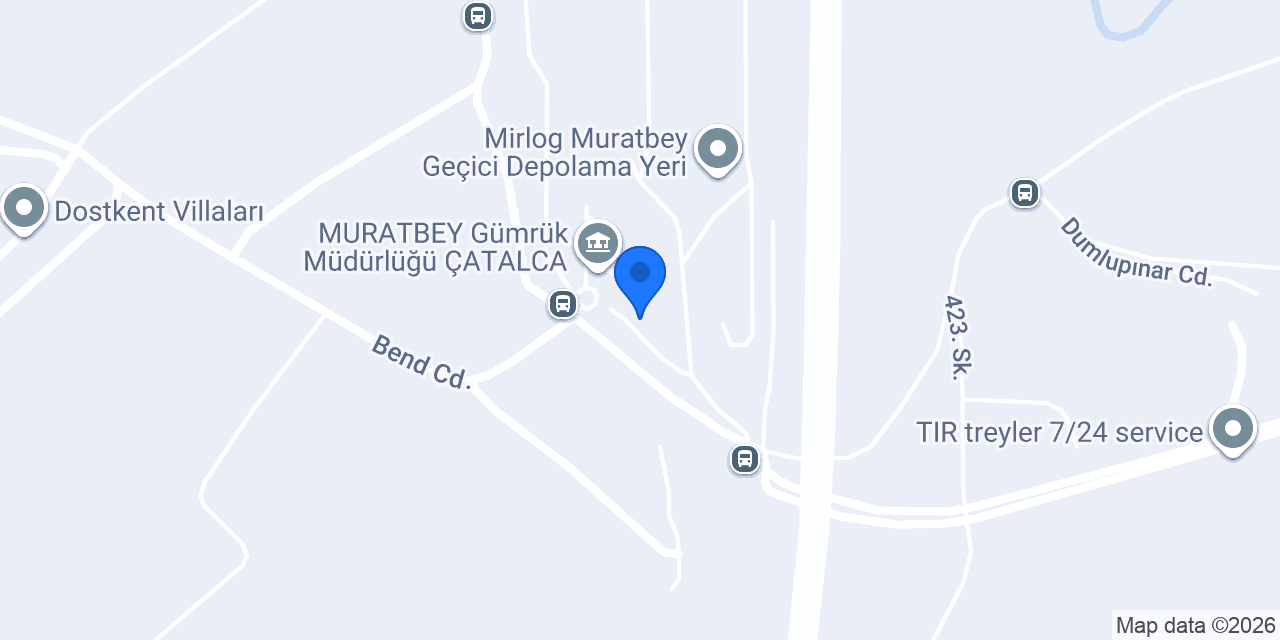 TGS GÜMRÜKLEME konumu