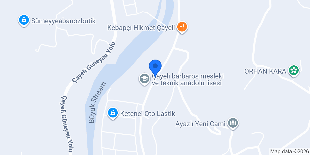 Çayeli Halı Yıkama konumu