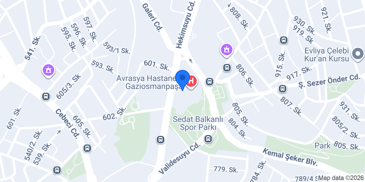 Uzm. Dr. Sepide Doust konumu